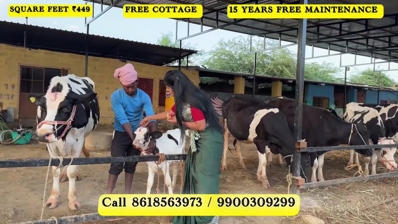 Sri rayara Brindavana  farm 450s/sqft Land Near Bengaluru ICall m +919900309299 | 