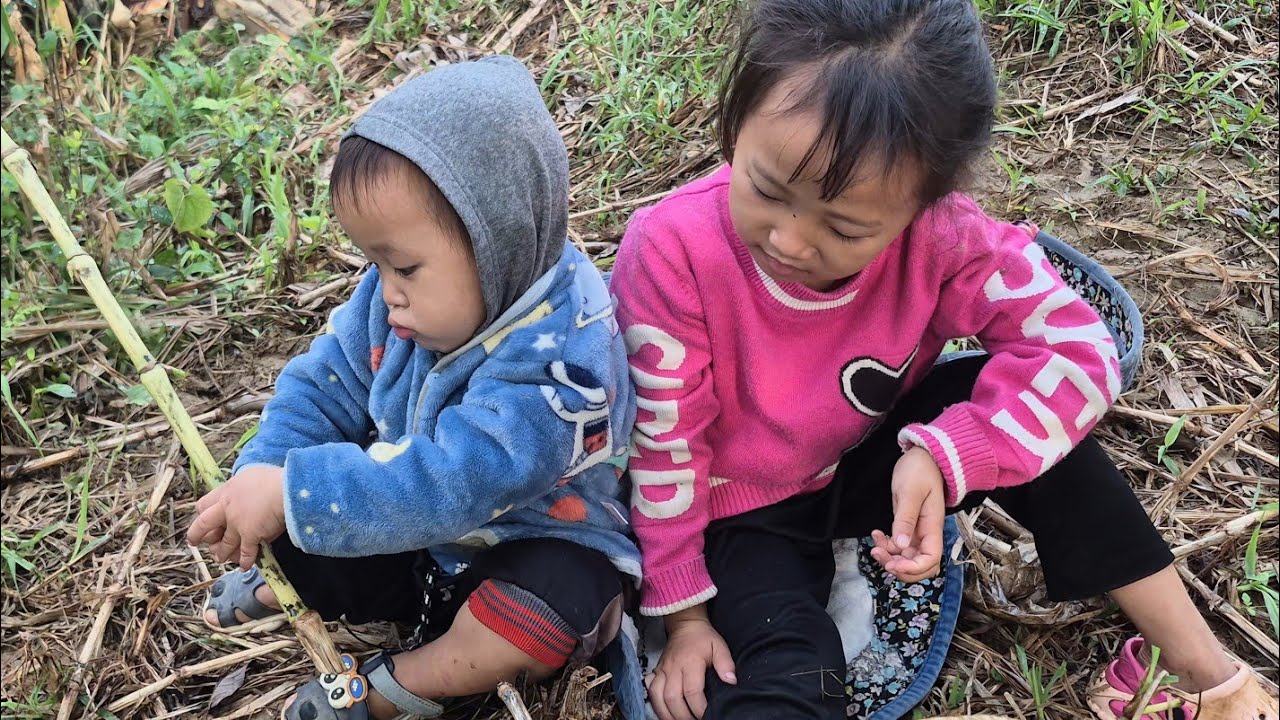 đi chặt củi bán mua đạu phụ về nhà ăn Hoàng tiểu yến #123