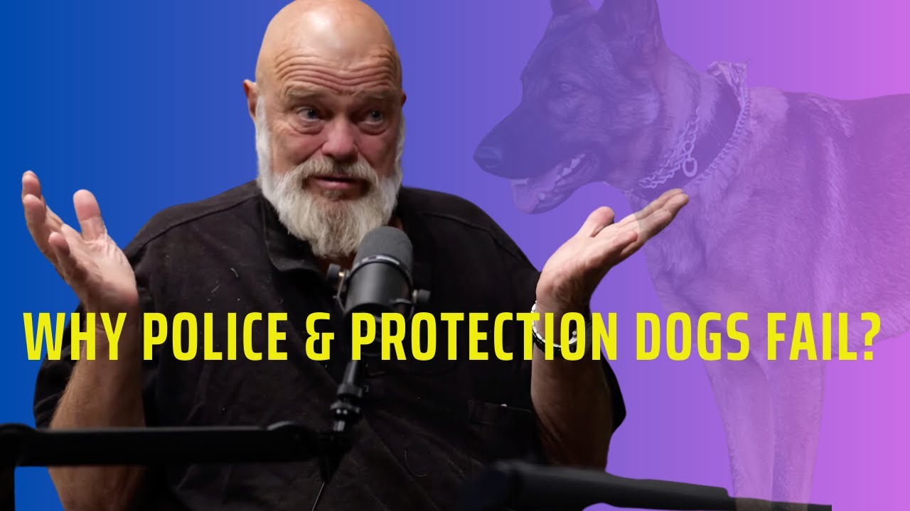 Why Police and Protection Dogs Fail In Real Life Scenarios