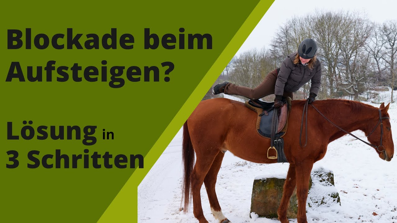 Was hindert dich am Aufsteigen I Angst am und auf dem Pferd