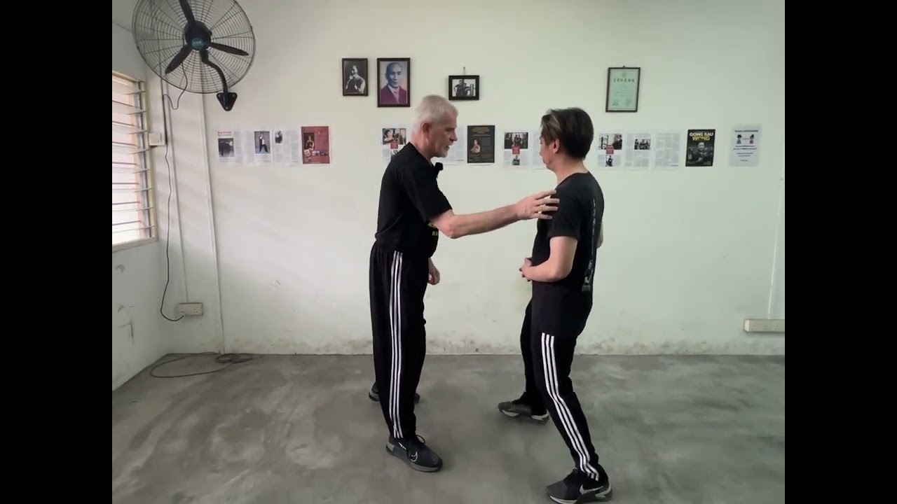 ‘WSL Ving Tsun Kuen Hok’ - breaking it down #76 - the Concepts of the ‘Cham Kiu’ form (Pt.2)