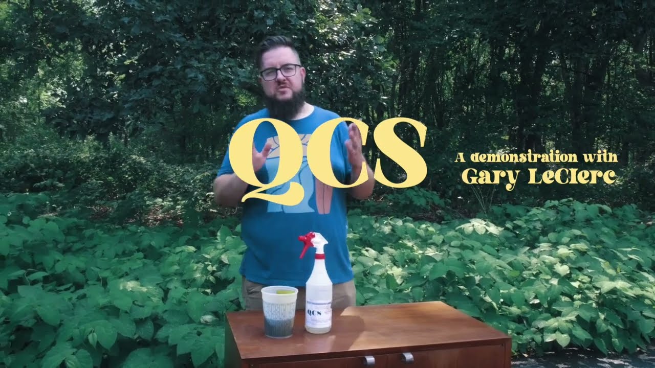 Rainy Day QCS Demonstration