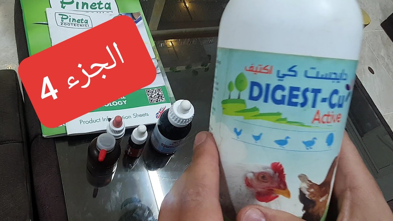 ماذا نقدم لطيورنا في مرحلة غيار الريش الجزء 4