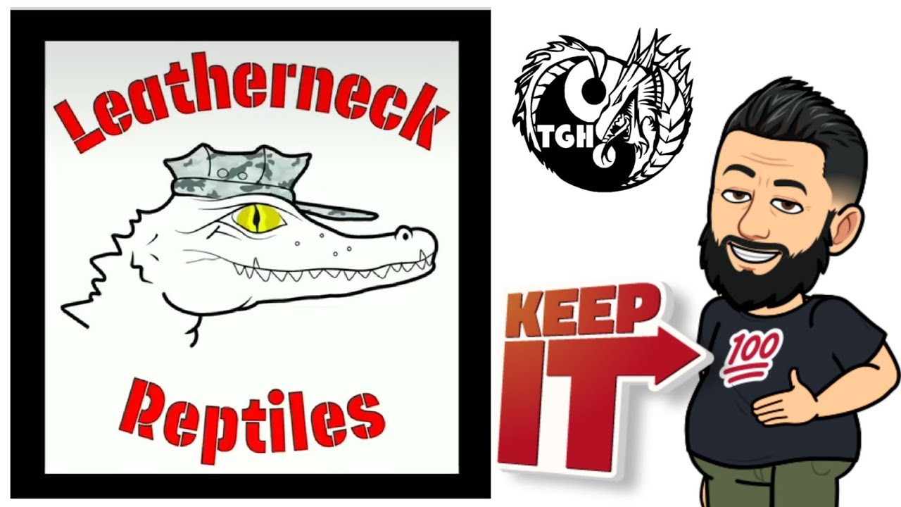 Ball Python Keeper Leatherneck Reptiles