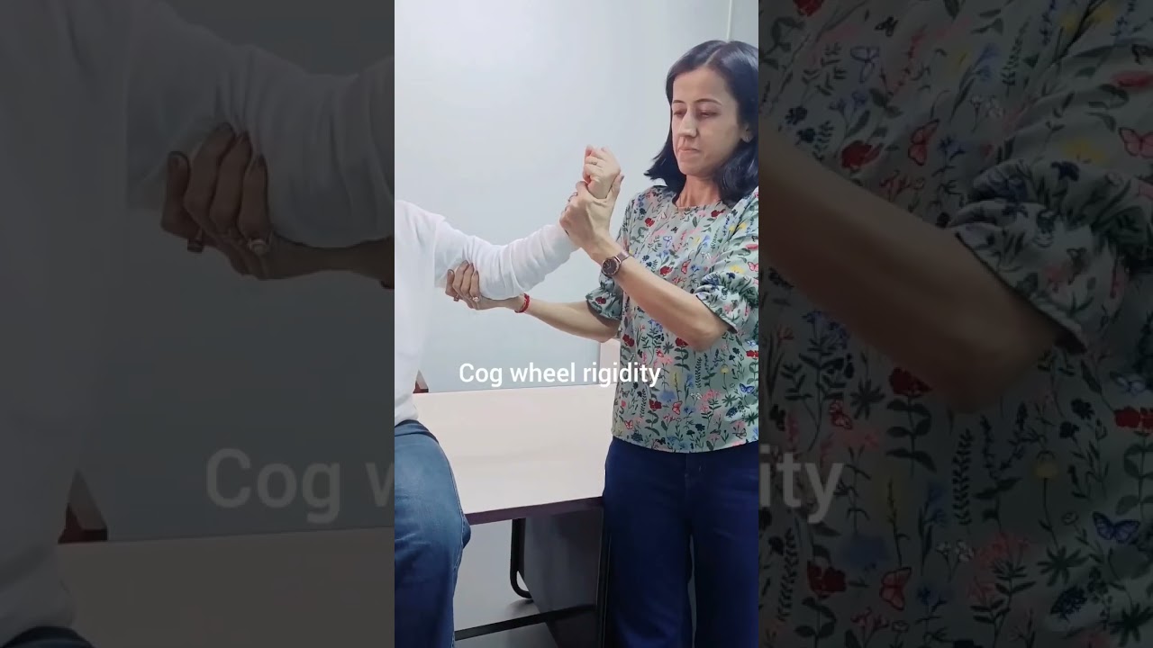 Жесткость зубчатого колеса#образование#физиология#медицина
