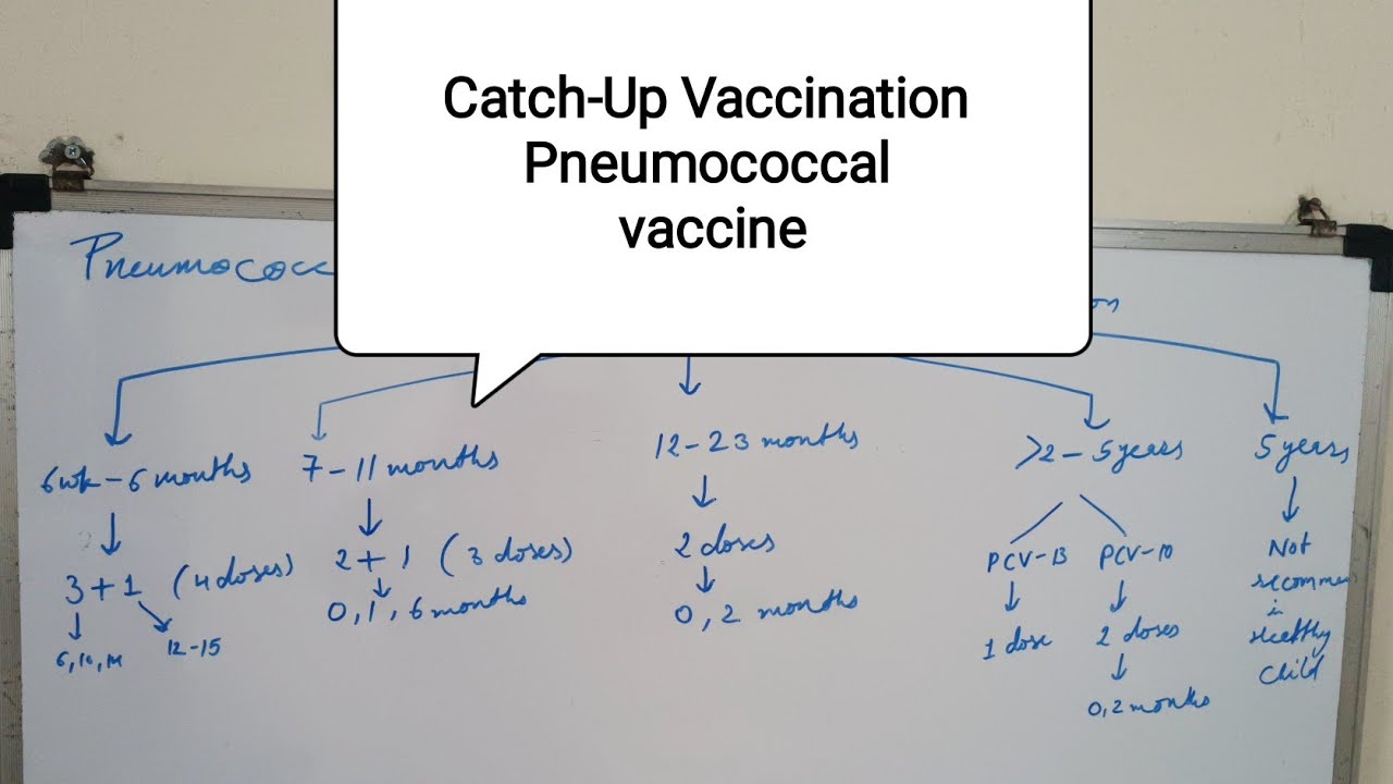 Catch-Up Vaccination for Pneumococcal Vaccine I Immunization I Paediatrics