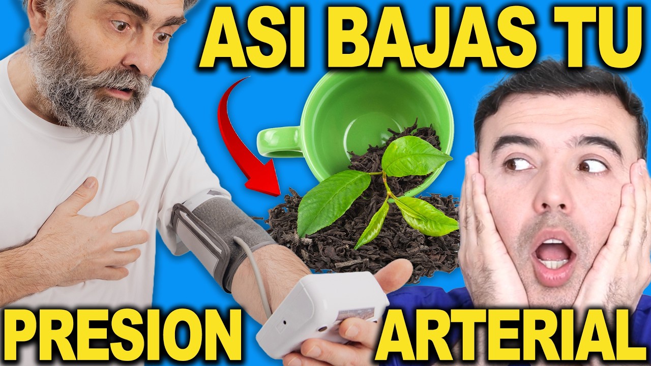 Los Cuatro Pasos Más Efectivos Para Bajar La Presión 🩸🩺