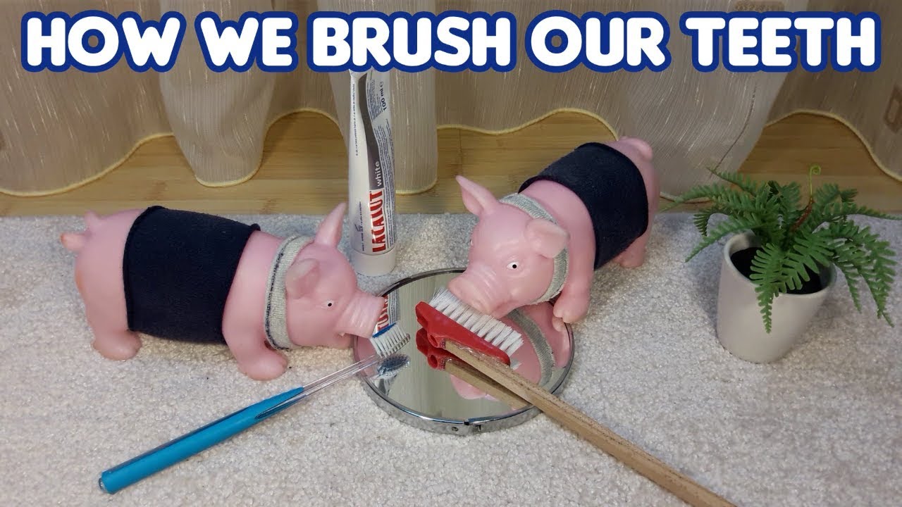 How we brush our teeth by HAPPY PIGS