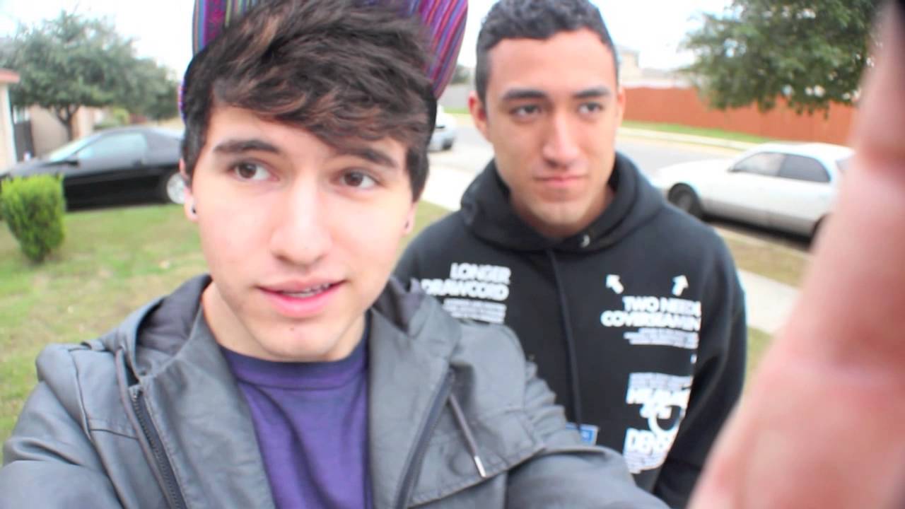 Wild Monkeys