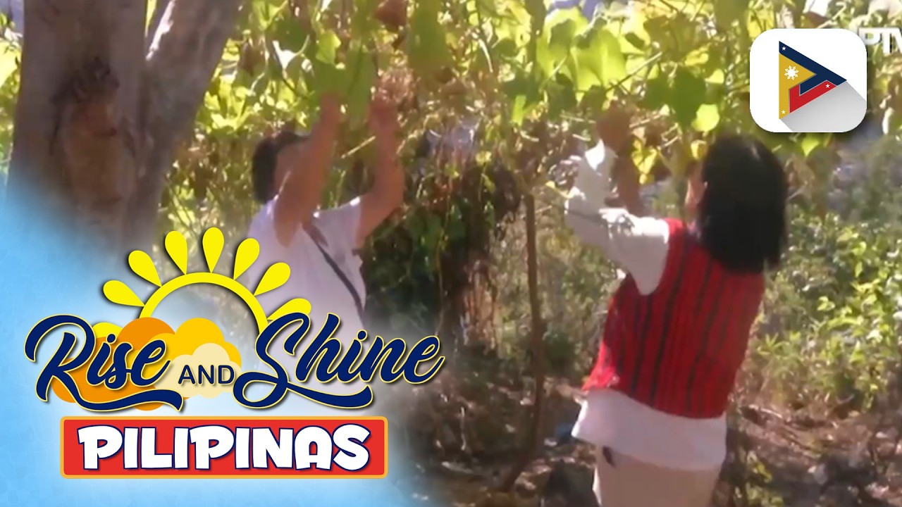 Komunidad sa Brgy. Bulalacao, Mankayan, Benguet, nagkaisa para magkaroon ng gulayan...