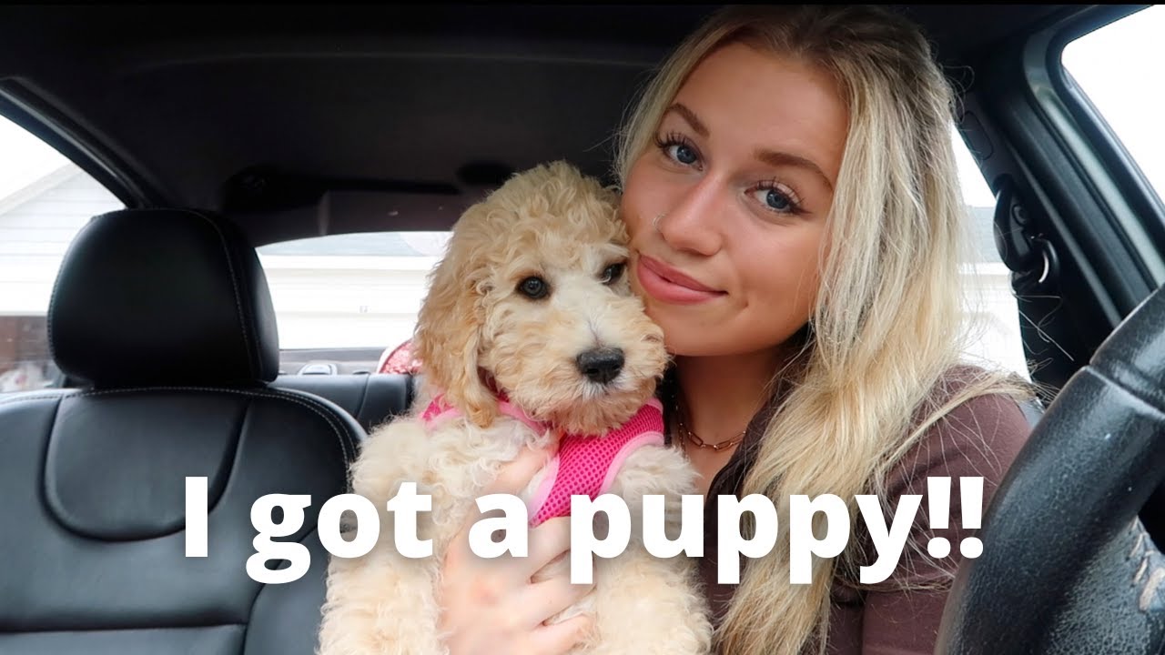 MEET MY NEW PUPPY! taking her shopping, to starbucks & MORE