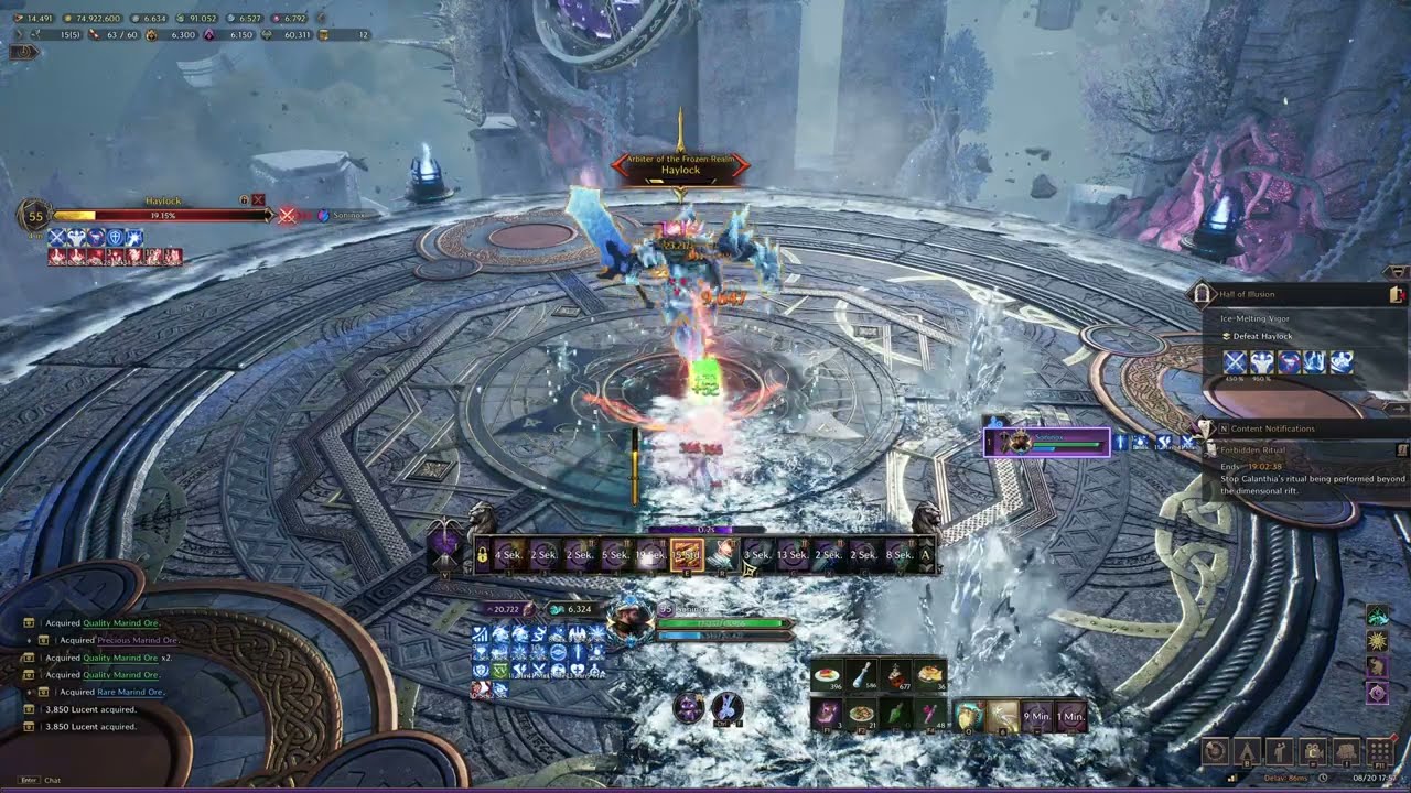 THRONE AND LIBERTY  | Haylock | Fury | 52sec