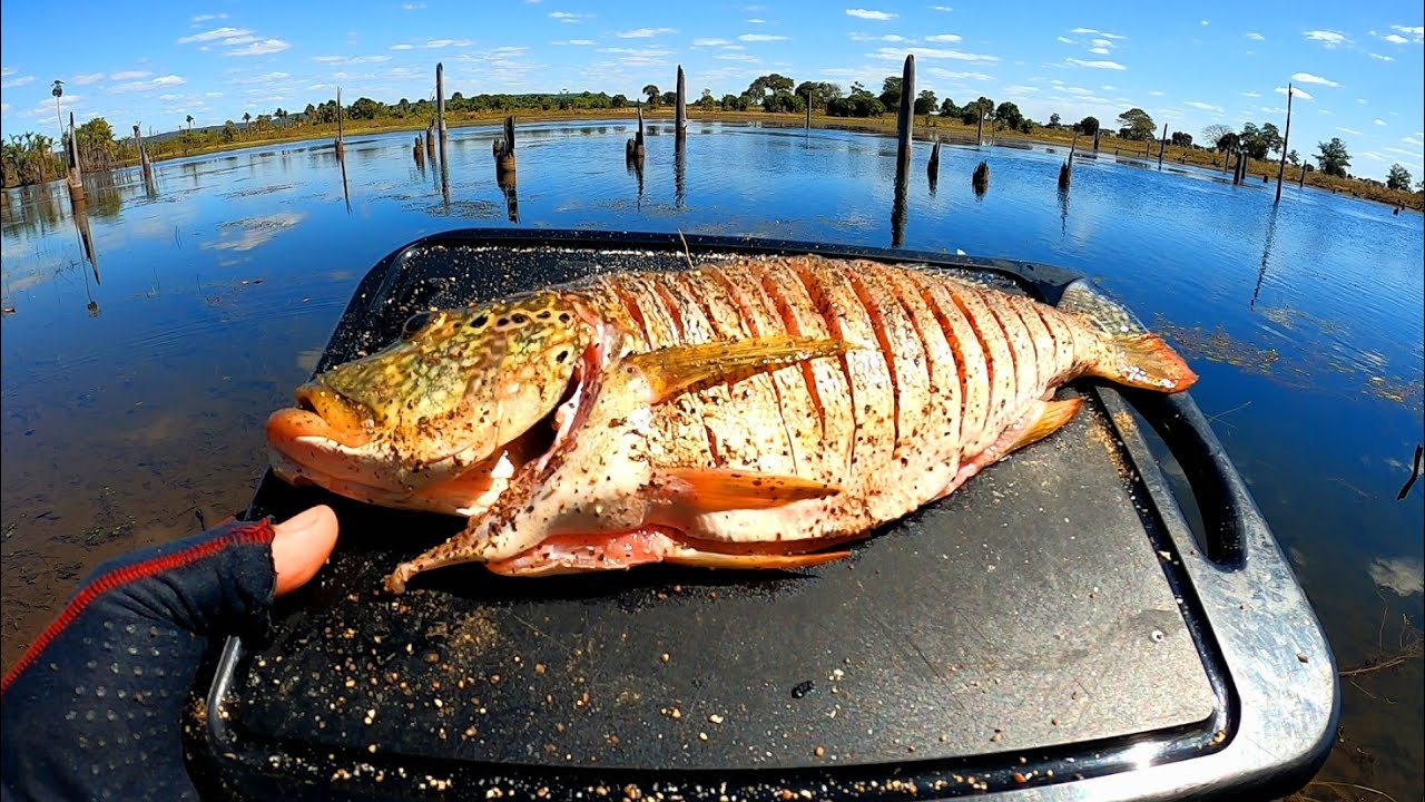 PESCARIA DE TUCUNARE e PEIXE FRITO NA BEIRA DA LAGOA...