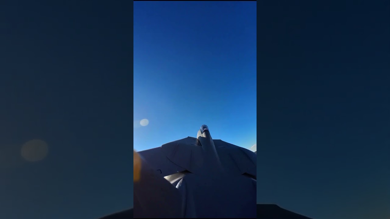 TOPGUN F14 Crash with a RC Plane 😲