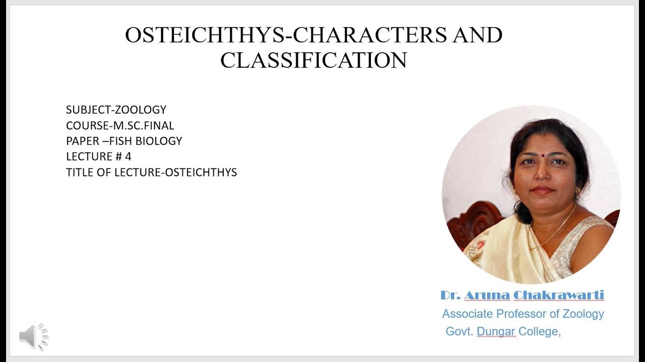 osteichthys video