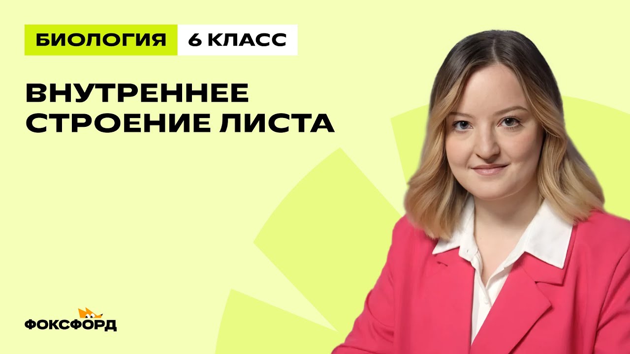 Внутреннее строение листа | Биология 6 класс | Домашняя школа Фоксфорда
