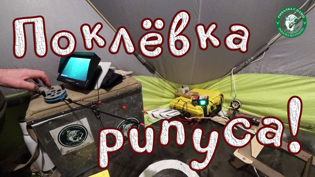 ПОКЛЁВКИ КРУПНЫМ ПЛАНОМ НА ЯВУ И ПОД ЛЬДОМ! РИПУСА 