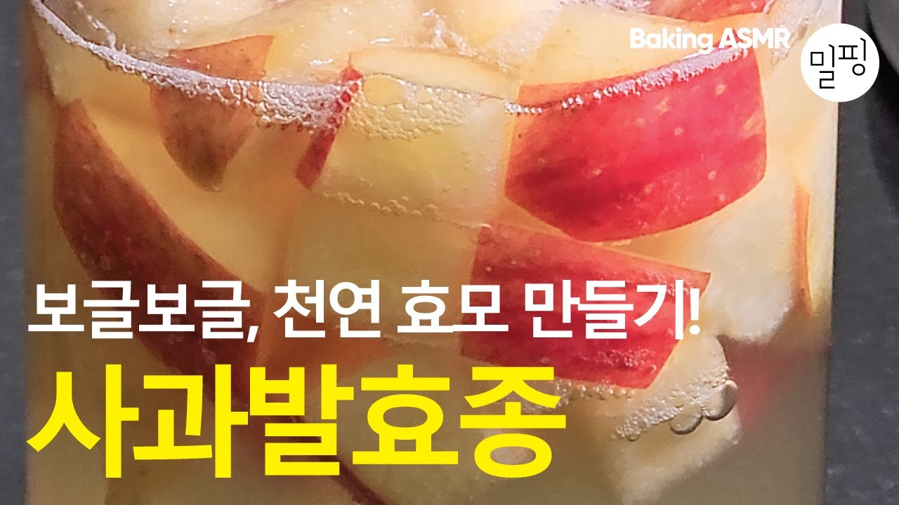 사과발효종 만들기 | 빵 발효에 탁월해요! 사과액종 Apple Yeast Water