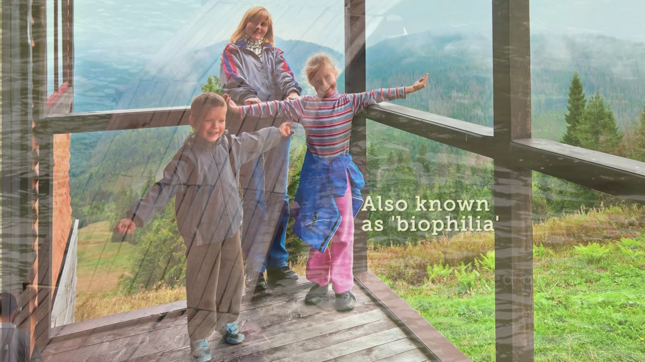 Nature Inspired Design - Research Shows People Prefer Natural Building Materials Like Wood