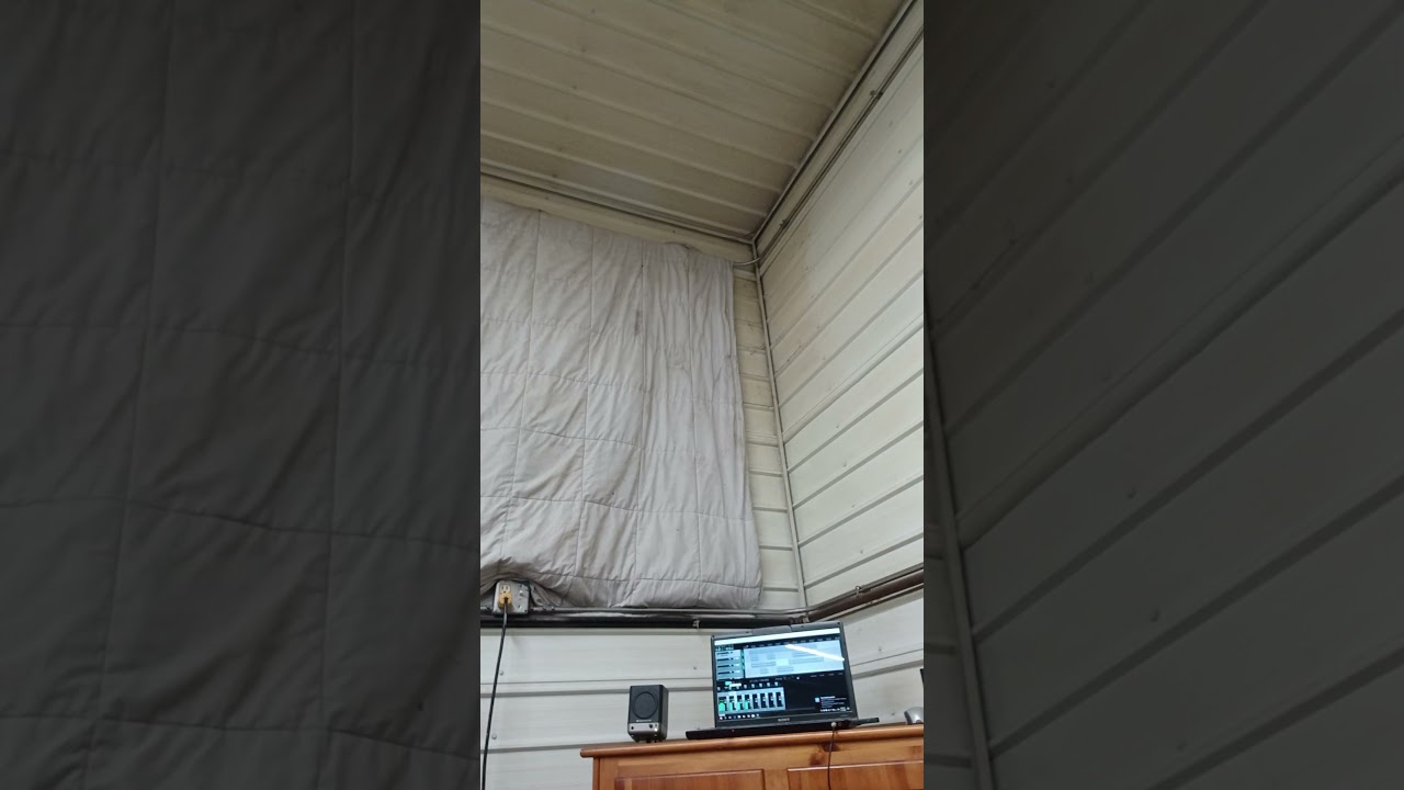 the disembodied racoon ghostly apparition