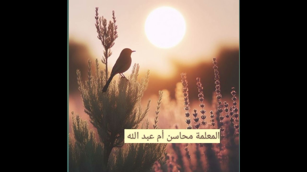 مفتاح مهم جدا لقلب زوجك ( ٢ )