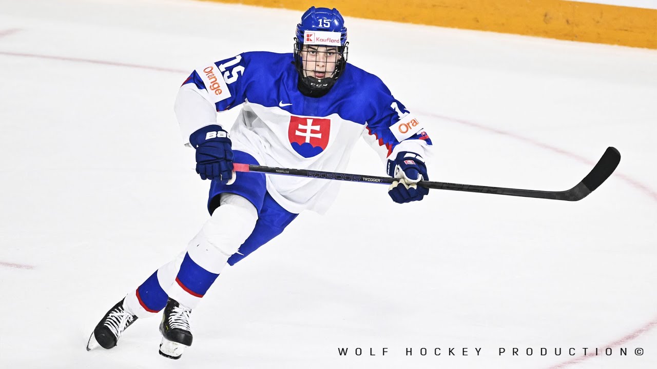 The Best Of Dalibor Dvorsky Top Prospect for the NHL 2023 Draft | Dalibor Dvorsky Highlights