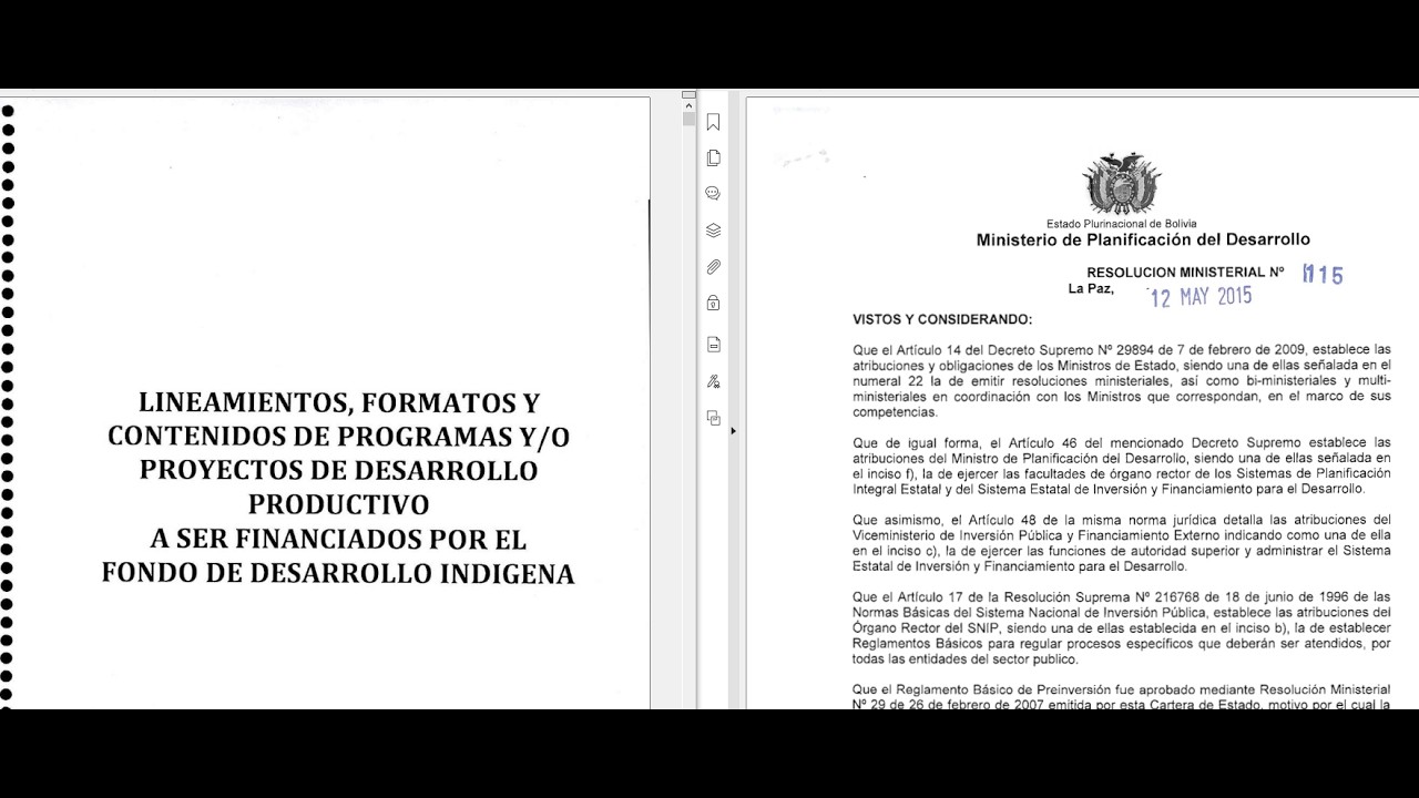 Estudio Socioeconómico 1 Desglose entre Lineamiento Formatos del FDI con Resolución Ministerial 115
