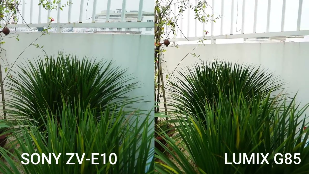 SONY ZV E10  vs LUMIX G85 video comparison