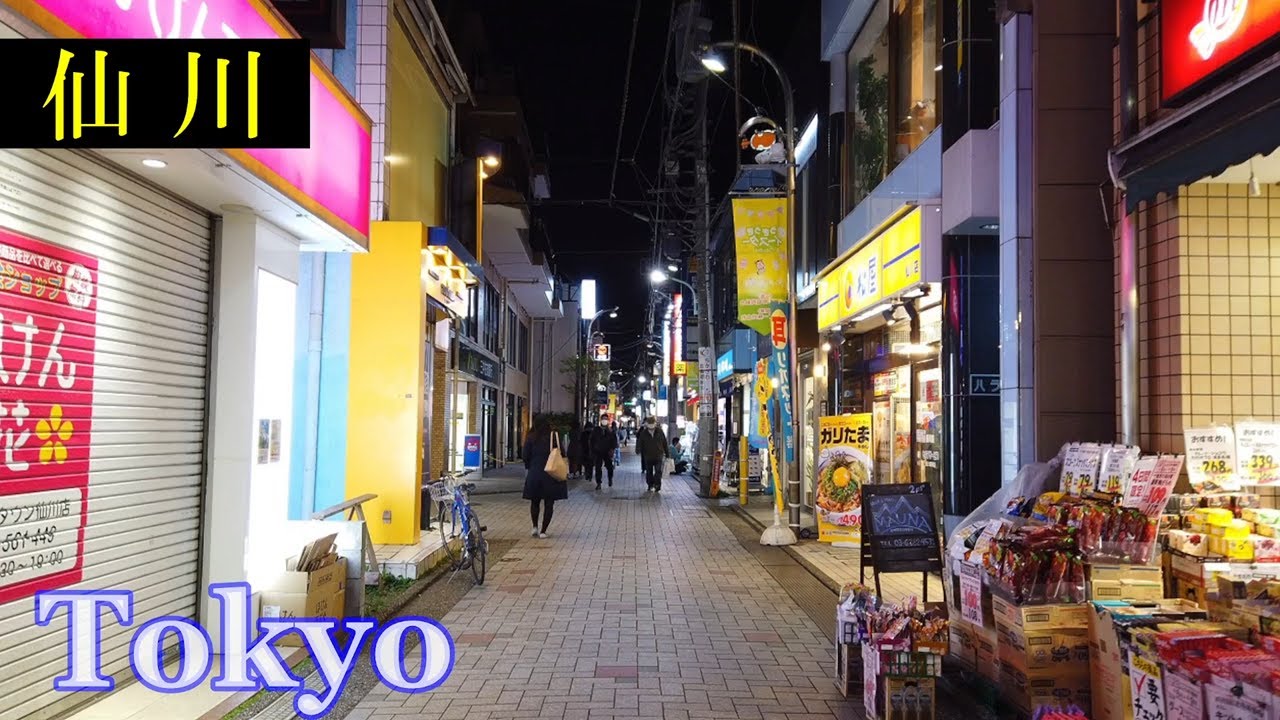 仙川　Tokyo Night Walking ✨ Sengawa　Shopping Streets　　Japan🎧HQ Binaural　桐朋学園大学・夜景・音楽大学　（調布市）　睡眠用・東京散歩