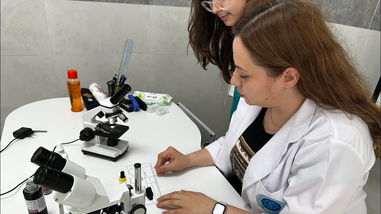 Biologiya dərsində Qan qrupu təyini