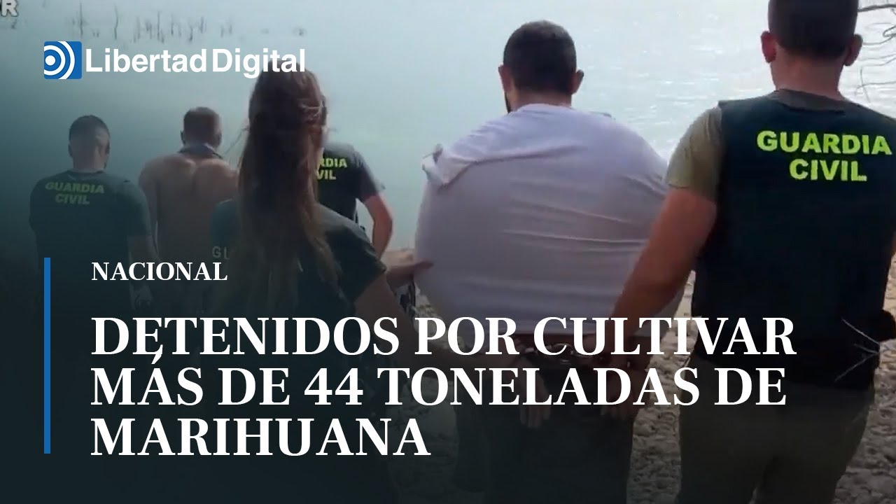 Diez detenidos por cultivar más de 44 toneladas de marihuana en el Pirineo aragonés
