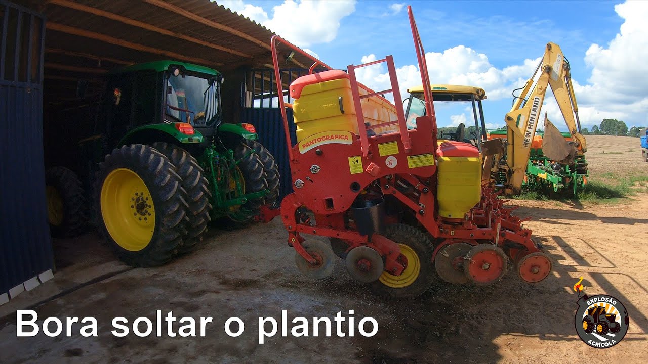 Soltei o plantio do feijão aqui em casa