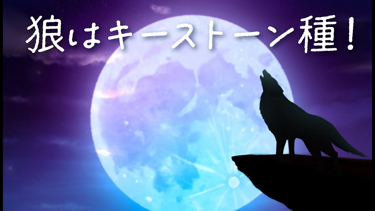 狼はキーストーン種
