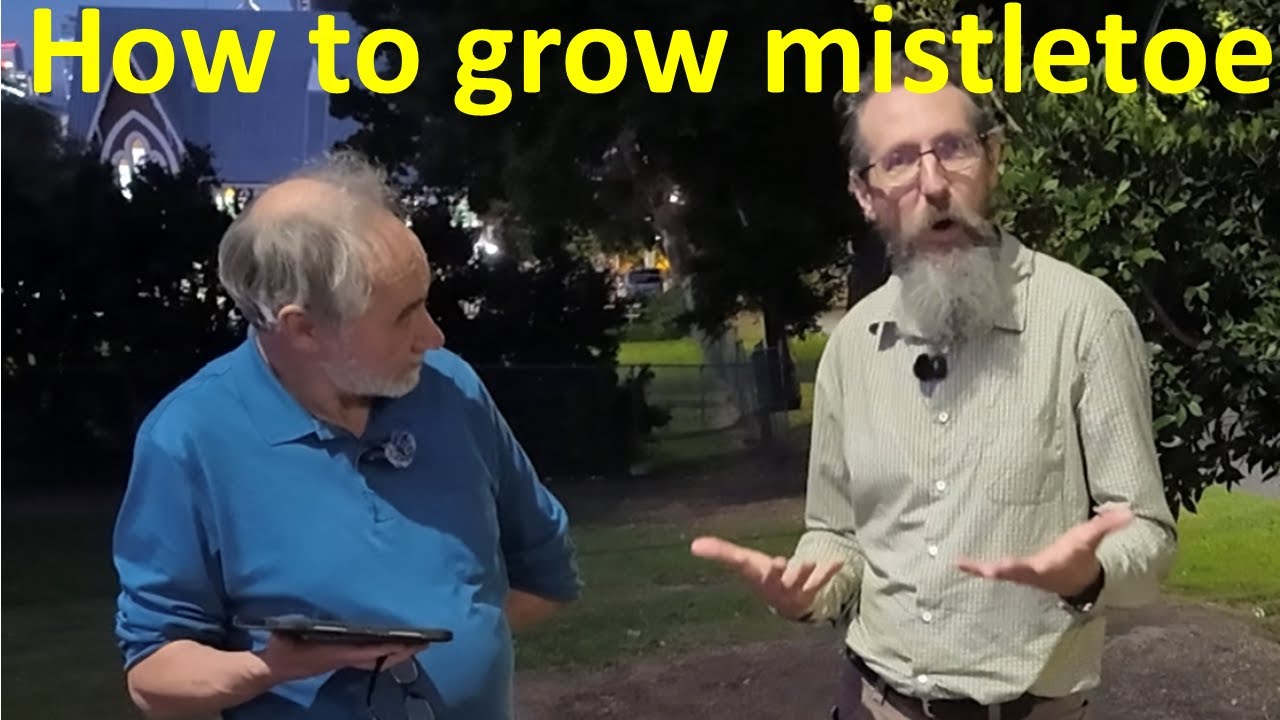 Much guidance is wrong
