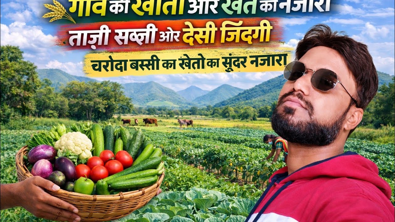 चरोदा बस्ती के साग-सब्जी वाले खेत का नजारा।Charoda Basti k kheti-Baadi। खेत की की सब्जी।Desi Vlog🌿🌿