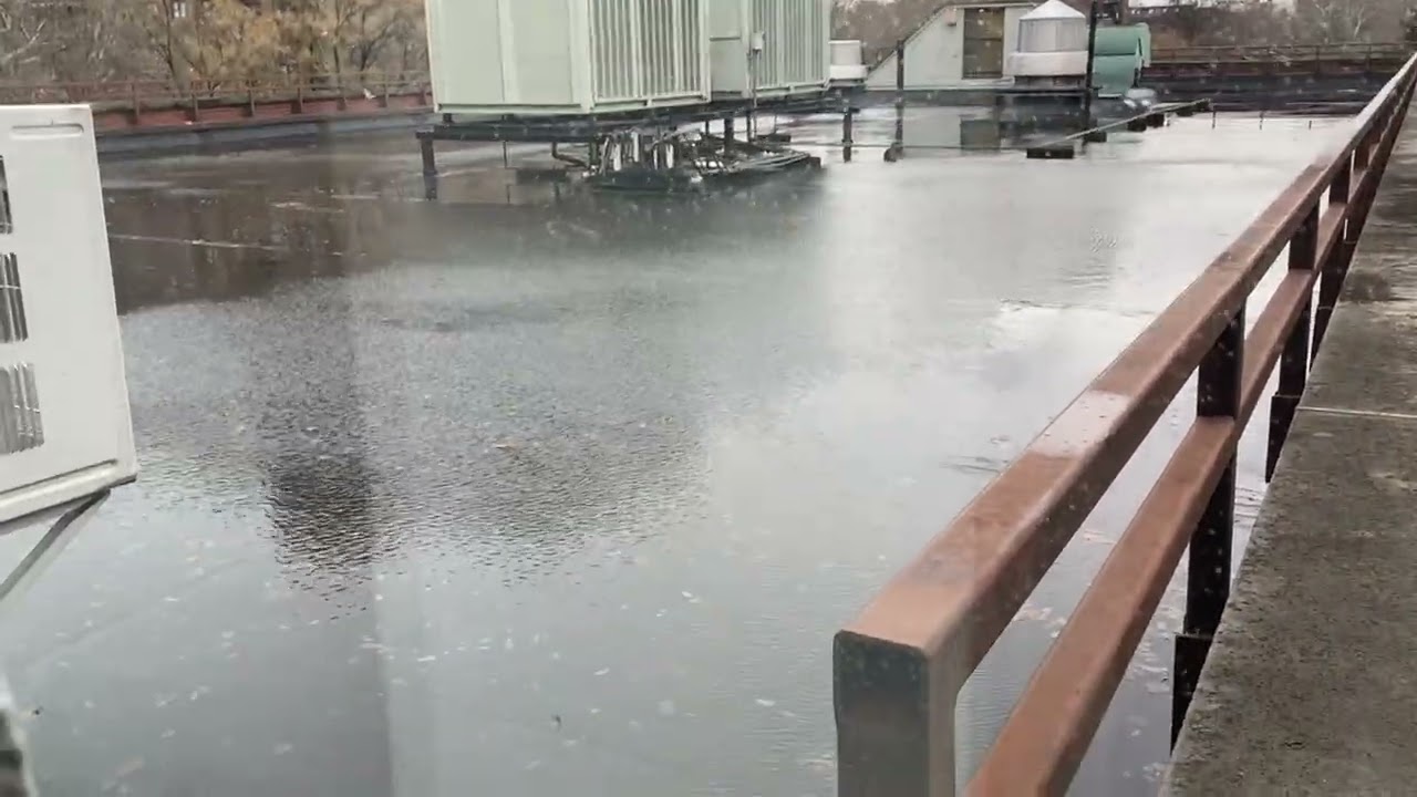 The roof floods as my teacher and I wait for class 