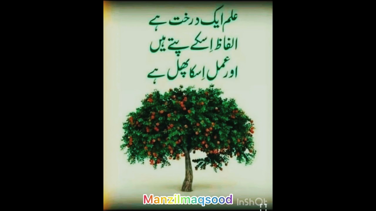 llعشقء نادس ||💕Kashmiri Sufi song💕Kalam💕🌹GHULAM-E-KHALIL🌹#sufism #sufikalam #love 