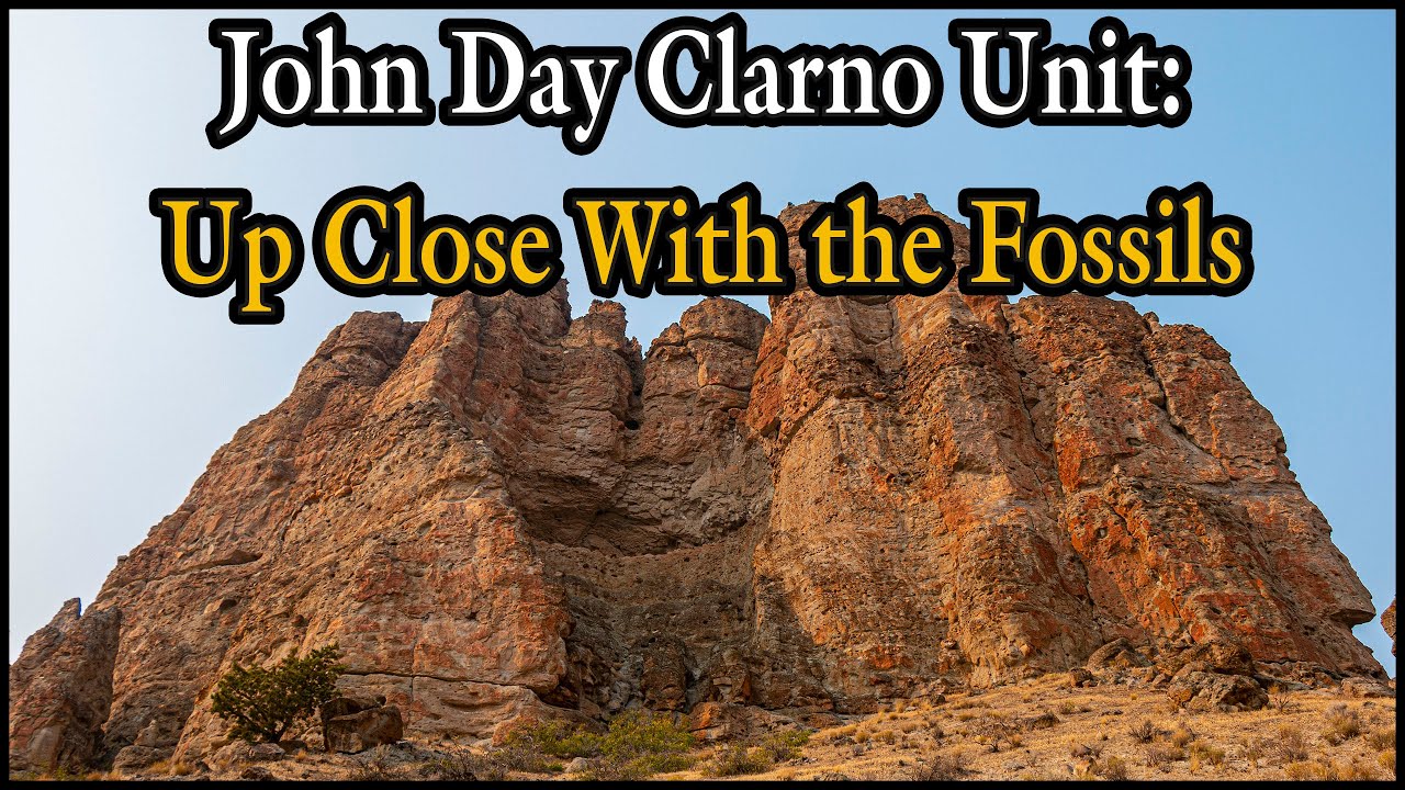 John Day Clarno Unit: Up Close With the Fossils