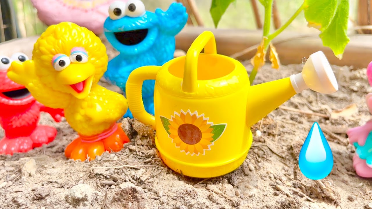 Best Kids Video Sesame Street Toys Garden Watering Plants Squirrel ELMO Abby
