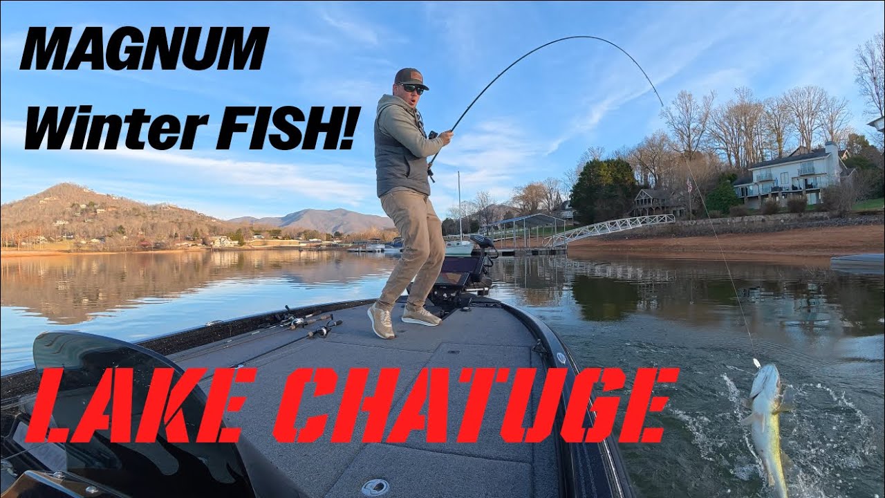 Lake Chatuge JANUARY GIANTS!! (A bait you might not expect!)