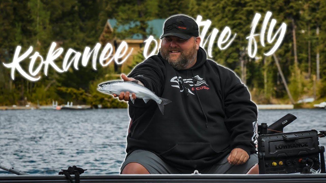 BCOSF SEASON 13 Ep 9  | Kokanee on the Fly | Kokanee Fly Fishing with Al Belheumer