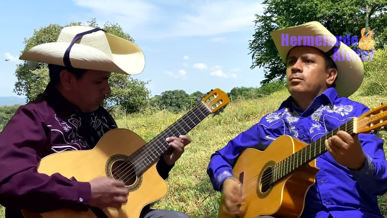 Paloma Negra - Instrumental con Guitarras - Hermelando y Mr. H