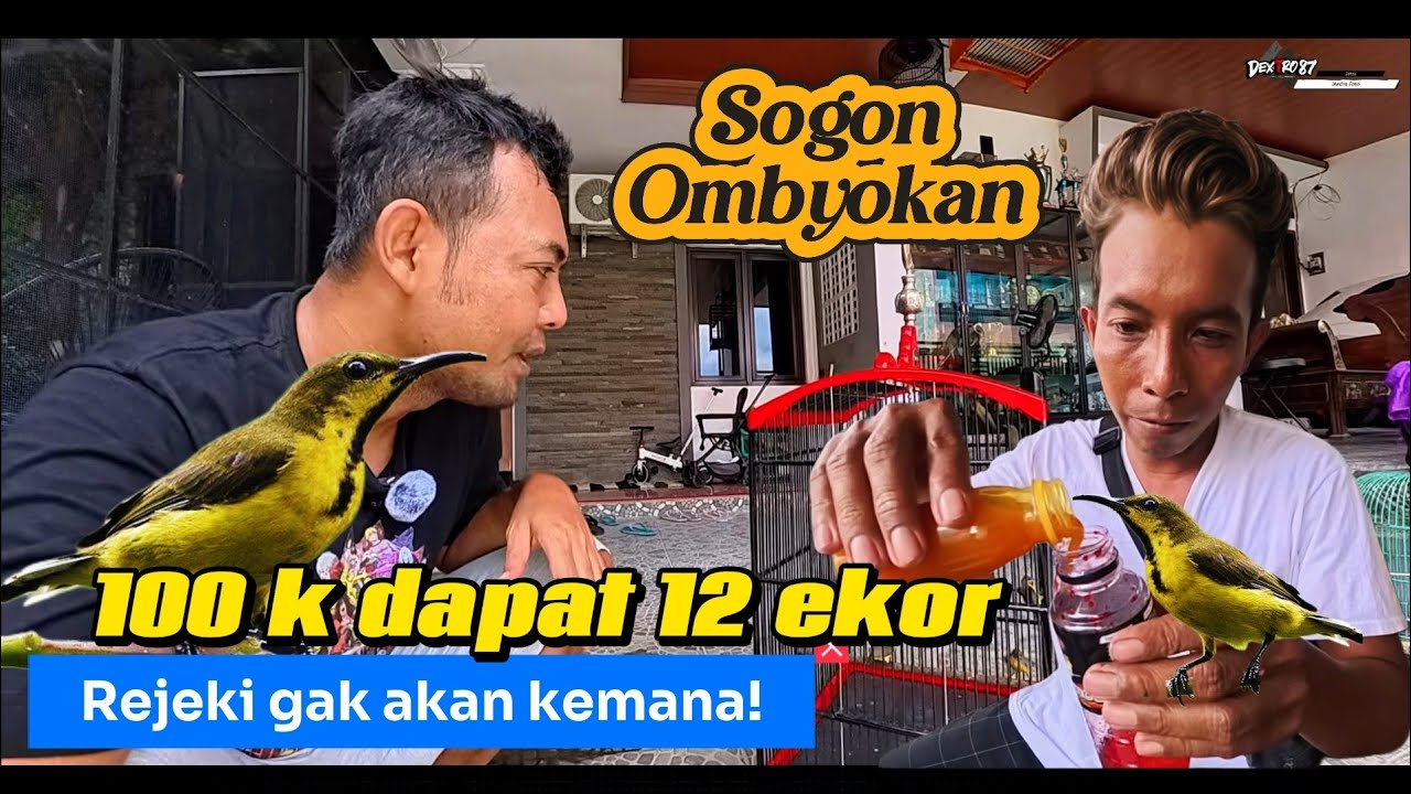 NGOMBYOK SOGON IJOAN ISTIMEWAH(IJOAN SAHDU INI MAH).SEMOGA NANTI BISA NEMBAK NEMBAK.