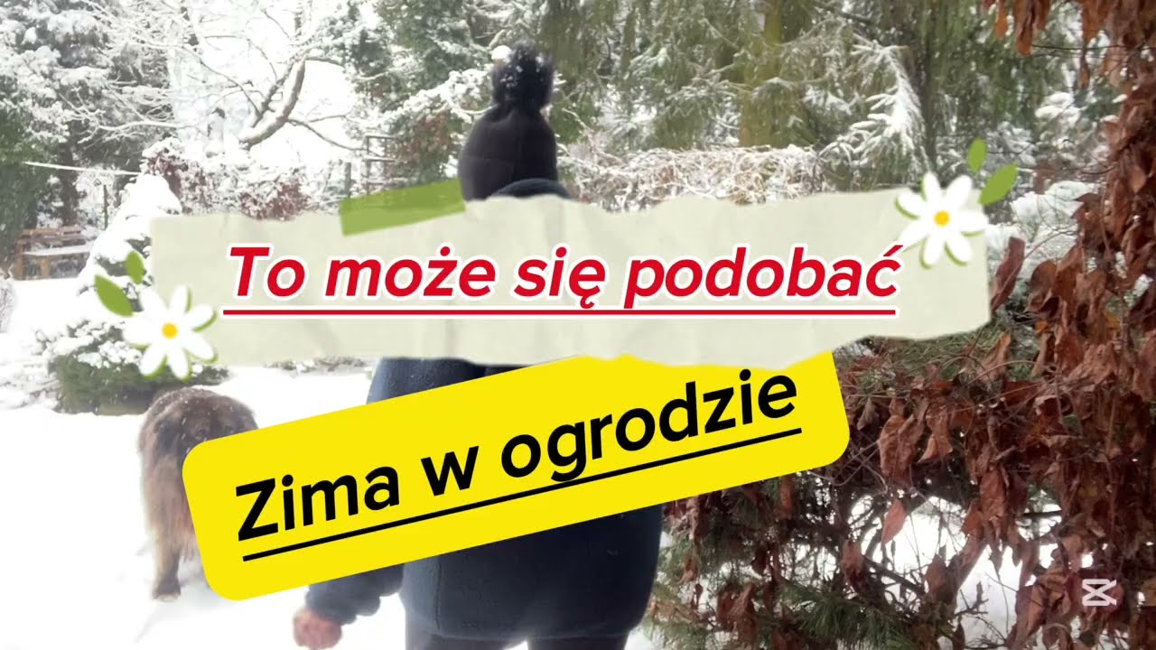 Urok zaśnieżonego ogrodu☃️