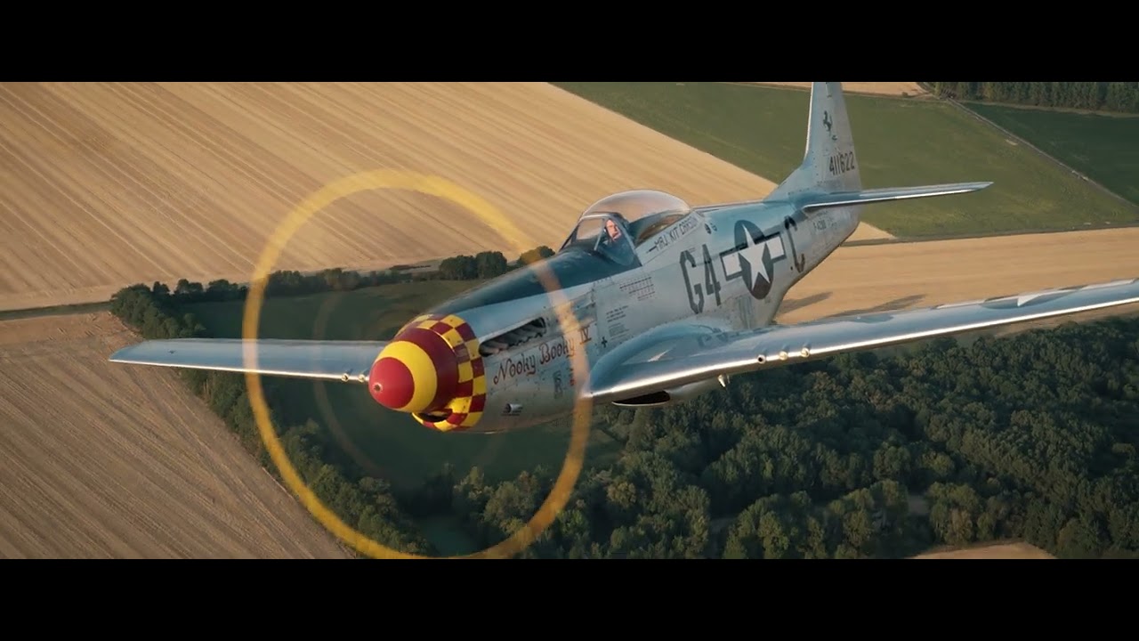 P-51 MUSTANG AIR2AIR