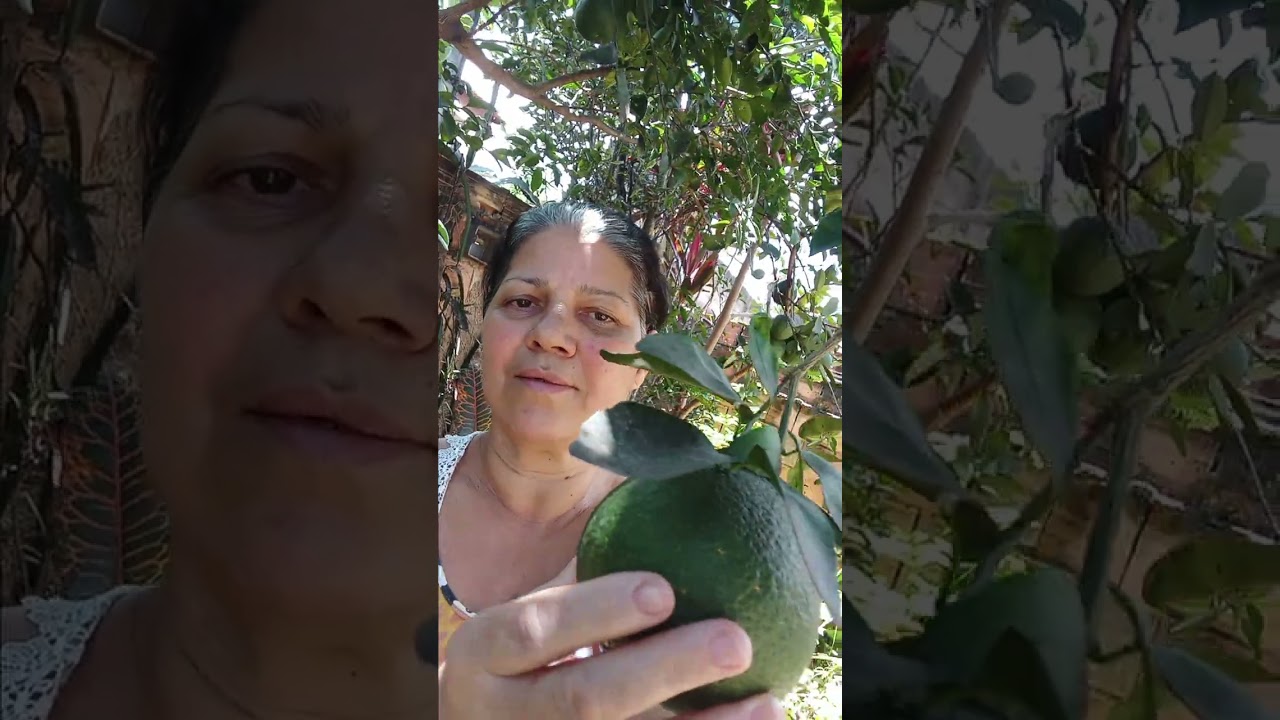 Beleza  Natural 8 de fevereiro de 2026