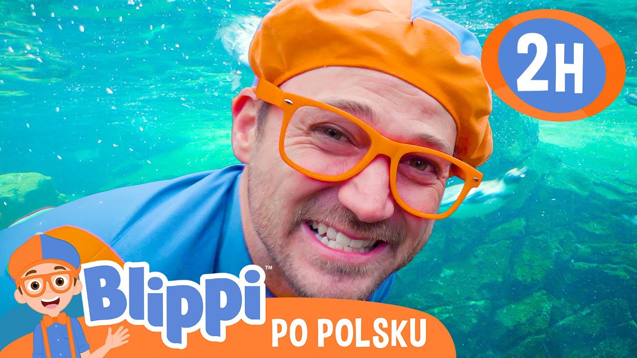 Blippi spotyka pingwina📙Blippi po polsku📙Nauka i zabawa dla Dzieci