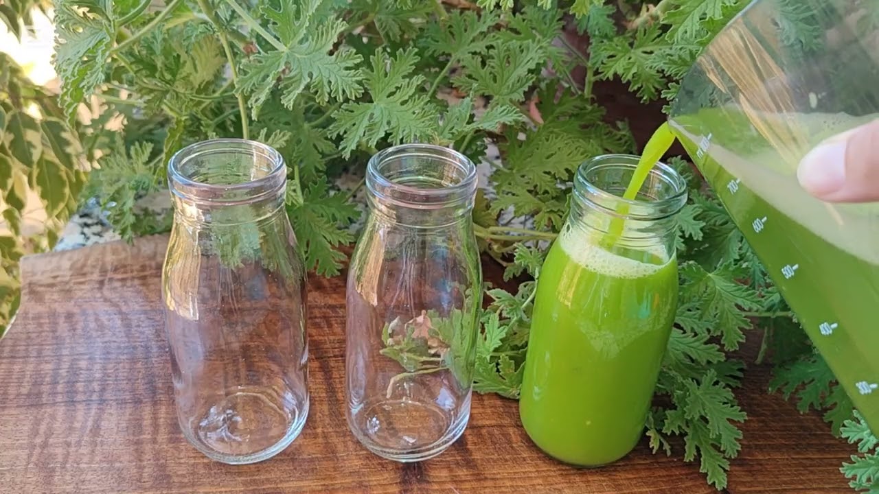 عصير أخضر 🌿 صحي منعش و لذيذ😋 لجسد نظيف، نشيط ومليء بالطاقة في رمضان 🌙