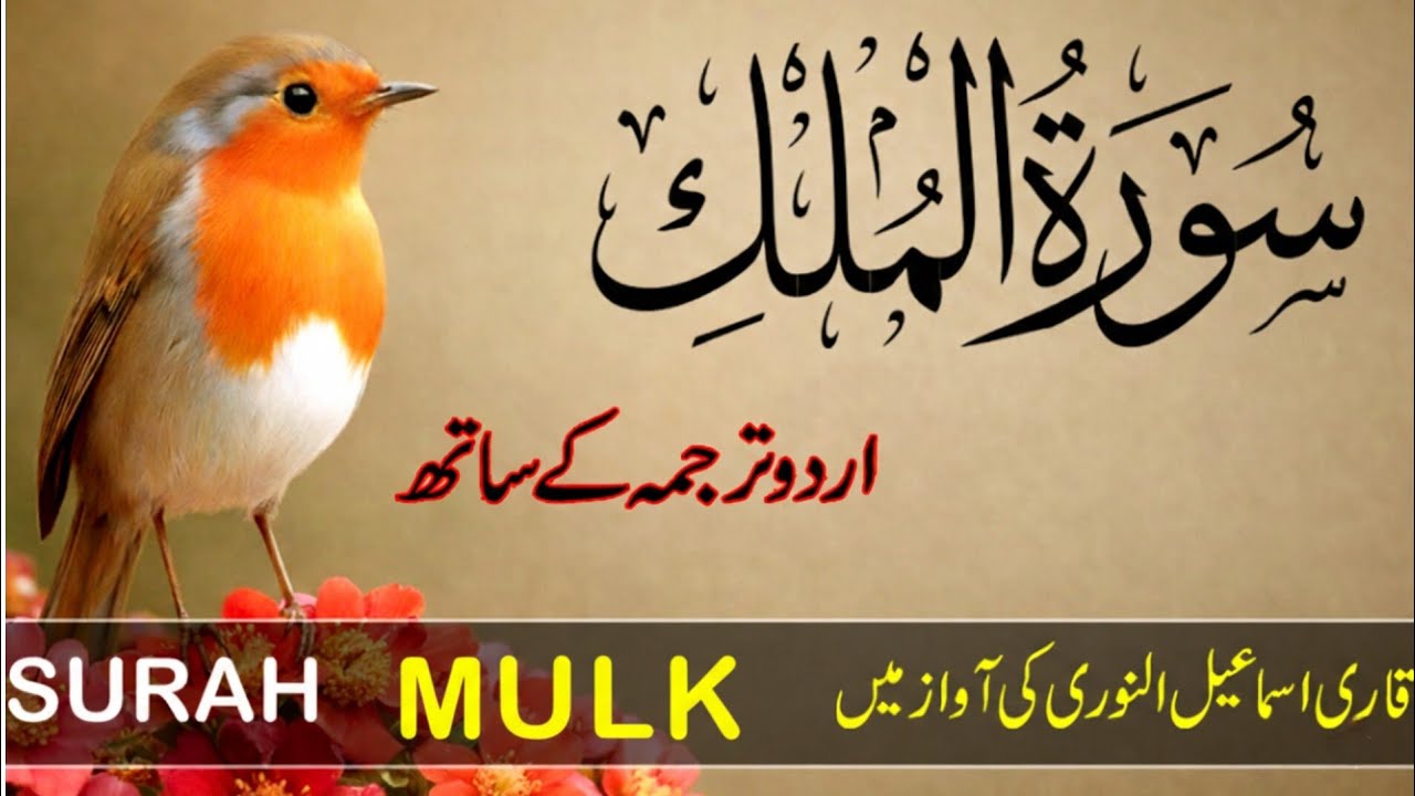 Surah Al-Mulk with Urdu & Hindi Translation | تلاوة القرآن | Protection from Grave l Epi 0004