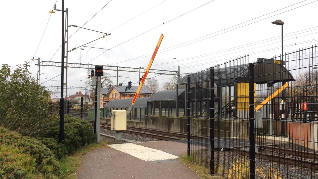 *Gula bommar* Plattformsbommar Tierp / Swedish platform path level crossing